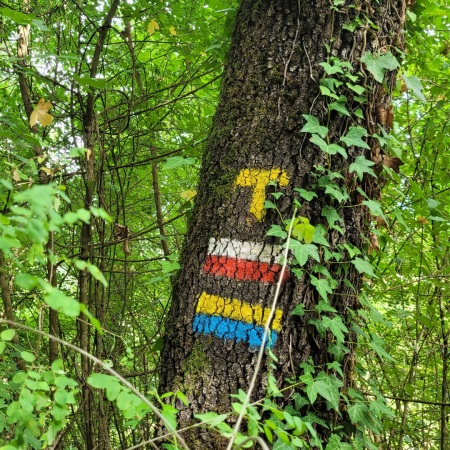 Dia 10 – 14 set 2022 – Gricignano (Sansepolcro) a Citerna – 9 km