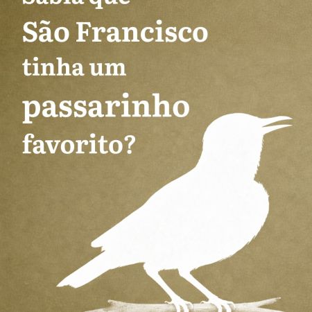 O passarinho predileto de São Francisco de Assis